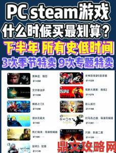 Steam 游戏在中国市场分区定价为何售价便宜？