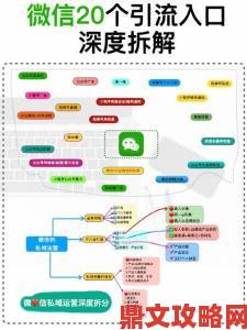 如何通过proumb官网实现精准营销深度拆解运营策略