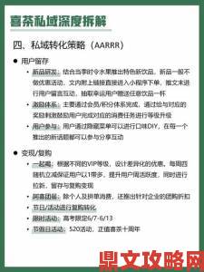 如何通过proumb官网实现精准营销深度拆解运营策略