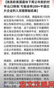 从欧美91事件看网络黑产举报者如何突破取证困境