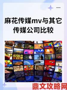 想看麻花传剧原创MV高清完整版在线播放正确入口在哪