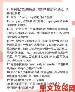 揭秘tkvk举报背后的隐藏规则这些细节决定成败