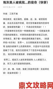 深度揭秘殿上欢1v3笔趣阁TXT侵权产业链举报渠道全解析