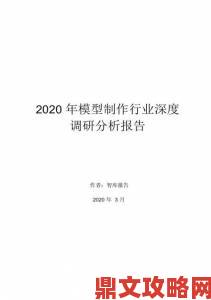 技术专家深度分析xkdspapp4.0隐藏入口是否存在法律风险