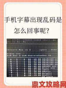 揭露网络诈骗真相：如何识别中文字幕、乱码与中文字的潜在风险与举报方法