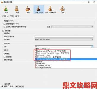 中文字字幕乱码修复实战VLC迅雷影音不同平台解决方案对比