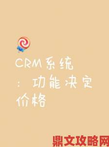 国产在线永久免费CRM用户突破百万背后隐藏的实用技巧