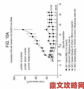 避开这些坑poein1817常见问题与解决方案全收录