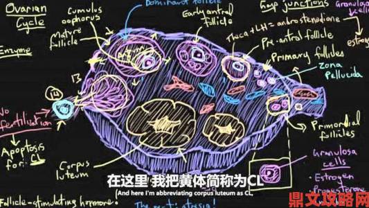 举报者怒揭傻大壮你真厉害桃花运内幕套路竟藏惊人利益链