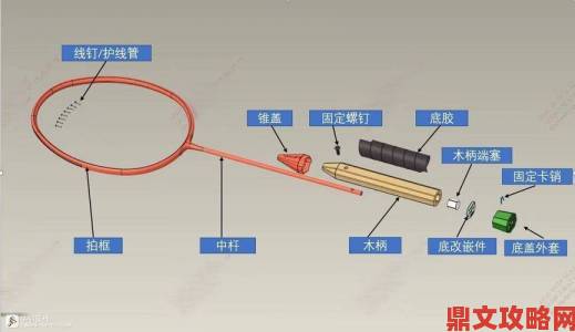 从零开始学zozzoxxy女人另类交实战案例与技巧拆解